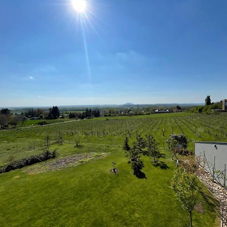 Ubytovani U Vinice Melnik Bagian luar foto